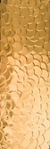 Nordic Gold Shell ZZ |29.75x89.46
