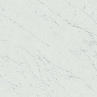 Marvel Carrara Pure ZZ 60x60