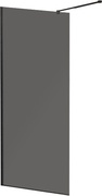 LIBERTA-L-1-25-GR-NERO Душевая перегородка, стекло графит, профиль чёрный, 246x1950 мм | ZZ