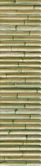 Bamboo Green ZZ 15х30