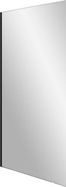 Душевое ограждение ST Walk-In Wall 900 x 2000 черный + транспарент ZZ