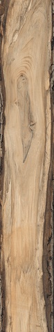 Sherwood Oak |24x150 товар
