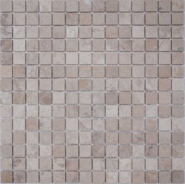 Мозаика из камня на сетке М20-283-20Т ZZ |30.5x30.5